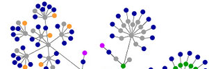 network